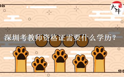 深圳考教师资格证需要什么学历？
