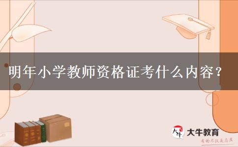 明年小学教师资格证考什么内容？