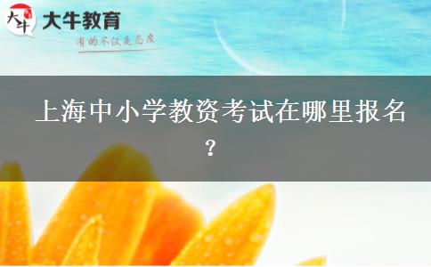  上海中小学教资考试在哪里报名？