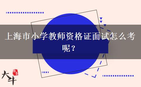 上海市小学教师资格证面试怎么考呢？