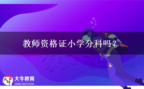 教师资格证小学分科吗？