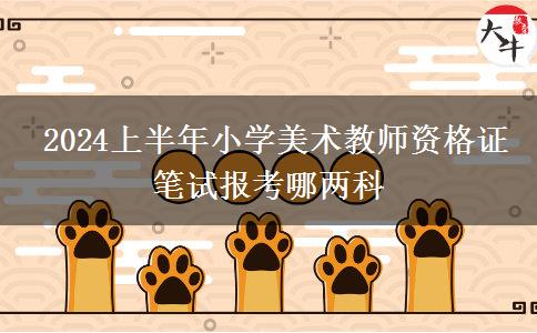  2024上半年小学美术教师资格证笔试报考哪两科