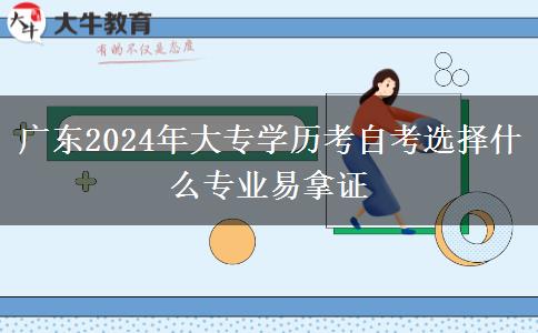 广东2024年大专学历考自考选择什么专业易拿证