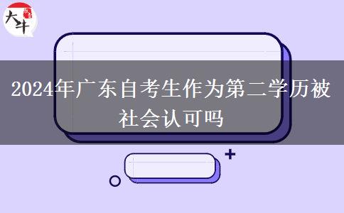 2024年广东自考生作为第二学历被社会认可吗