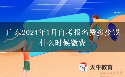 广东2024年1月自考报名费多少钱 什么时候缴费