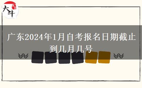 广东2024年1月自考报名日期截止到几月几号