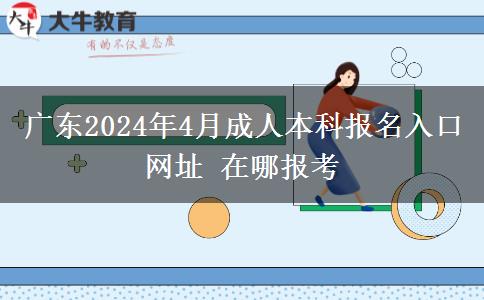 广东2024年4月成人本科报名入口网址 在哪报考