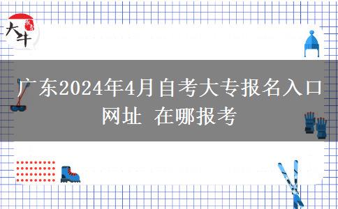 广东2024年4月自考大专报名入口网址 在哪报考