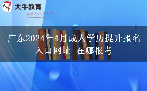 广东2024年4月成人学历提升报名入口网址 在哪报考