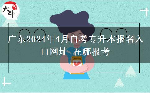 广东2024年4月自考专升本报名入口网址 在哪报考