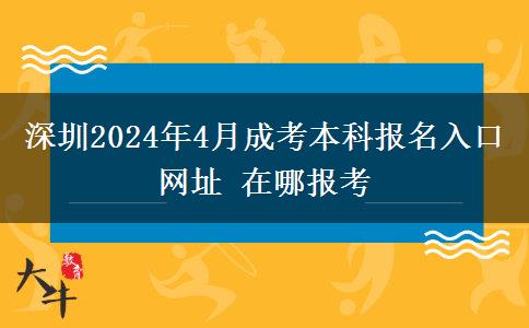 深圳2024年4月成考本科报名入口网址 在哪报考