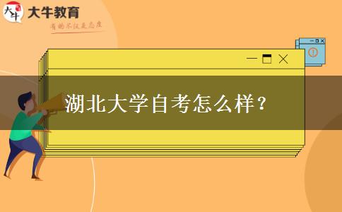 湖北大学自考怎么样？