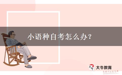 小语种自考怎么办？