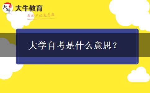 大学自考是什么意思？