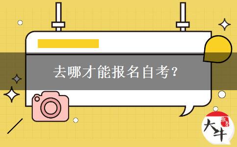 去哪才能报名自考？