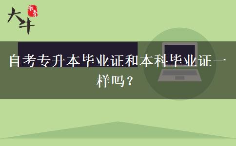 自考专升本毕业证和本科毕业证一样吗？