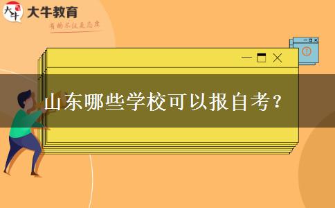 山东哪些学校可以报自考？
