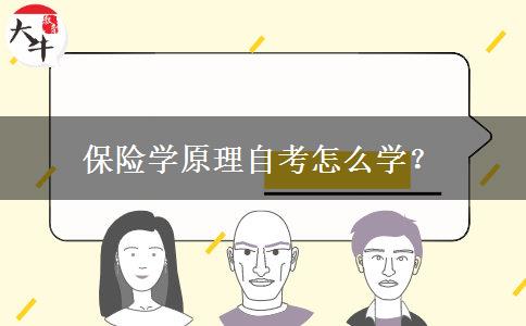 保险学原理自考怎么学？