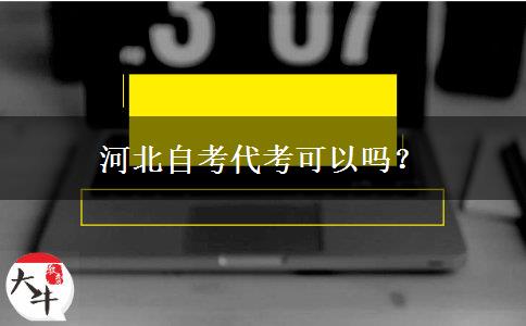 河北自考代考可以吗？