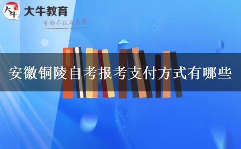 安徽铜陵自考报考支付方式有哪些