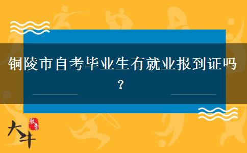 铜陵市自考毕业生有就业报到证吗？