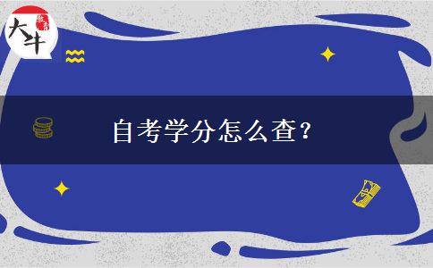 自考学分怎么查？