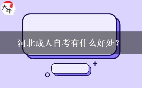 河北成人自考有什么好处？