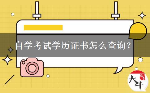 自学考试学历证书怎么查询？