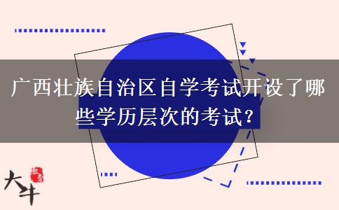 广西壮族自治区自学考试开设了哪些学历层次的考试？