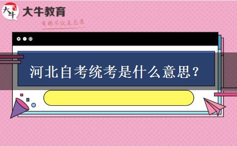 河北自考统考是什么意思？