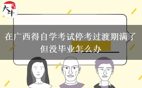 在广西得自学考试停考过渡期满了但没毕业怎么办