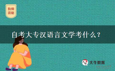 自考大专汉语言文学考什么？