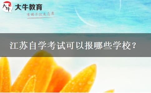 江苏自学考试可以报哪些学校？