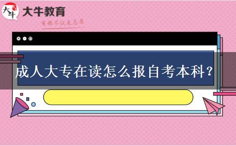 成人大专在读怎么报自考本科？