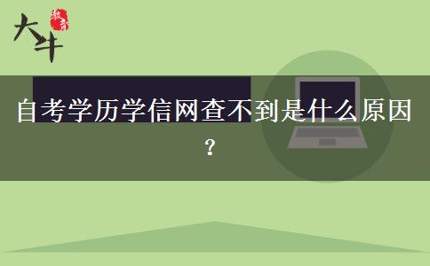 自考学历学信网查不到是什么原因？