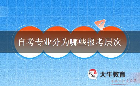 自考专业分为哪些报考层次