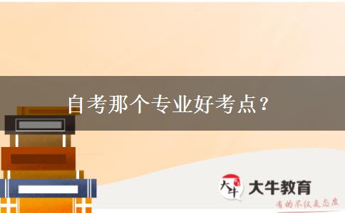 自考那个专业好考点？