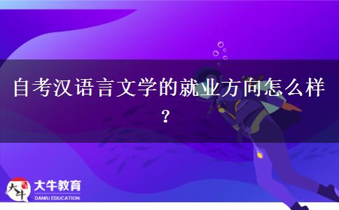 自考汉语言文学的就业方向怎么样？