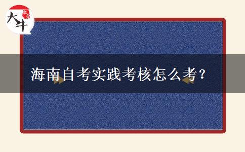 海南自考实践考核怎么考？