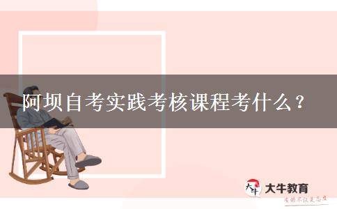 阿坝自考实践考核课程考什么？