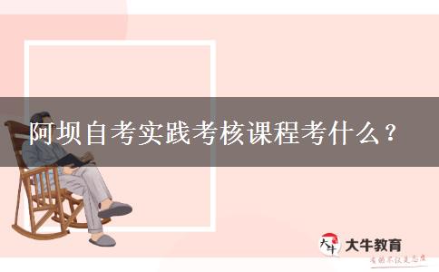 阿坝自考实践考核课程考什么？