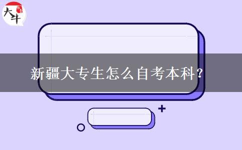新疆大专生怎么自考本科？
