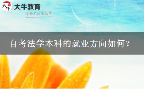 自考法学本科的就业方向如何？