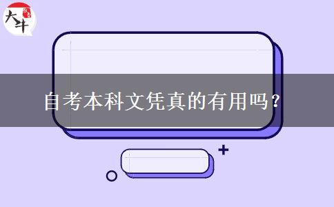 自考本科文凭真的有用吗？