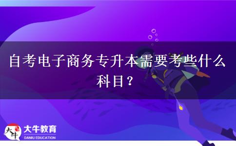 自考电子商务专升本需要考些什么科目？