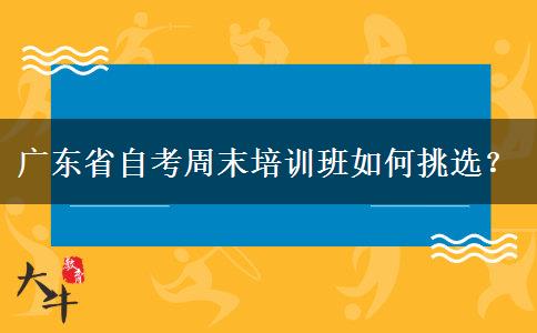 广东省自考周末培训班如何挑选？