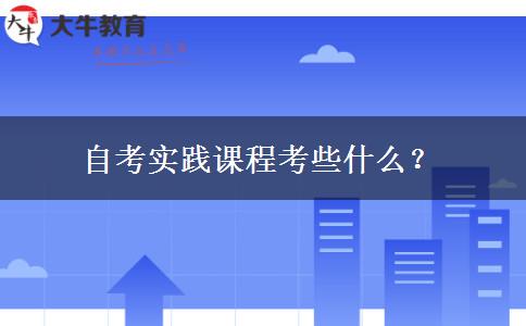 自考实践课程考些什么？