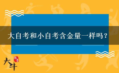 大自考和小自考含金量一样吗？