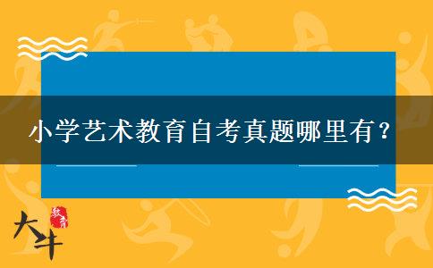 小学艺术教育自考真题哪里有？