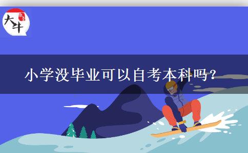 小学没毕业可以自考本科吗？